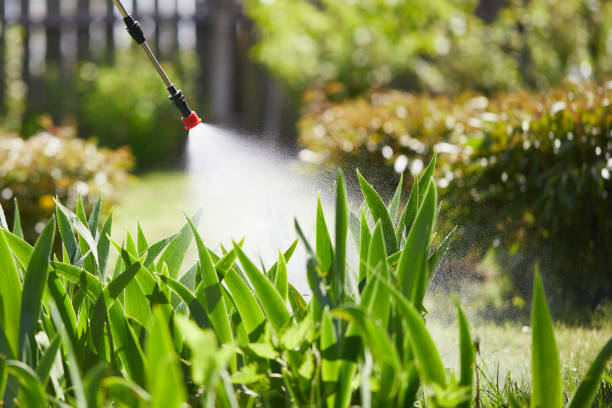Tamper-Resistant Bait Stations for Rodents in Paragould