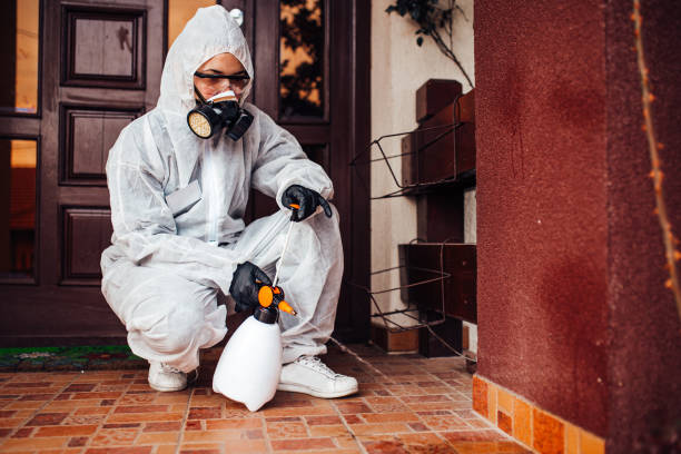 Attic and Crawl Space Rodent Treatment in Paragould