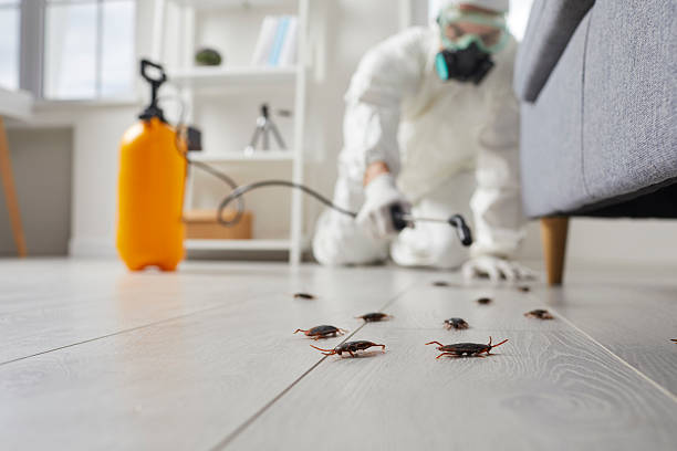 Commercial Rodent Management in Paragould